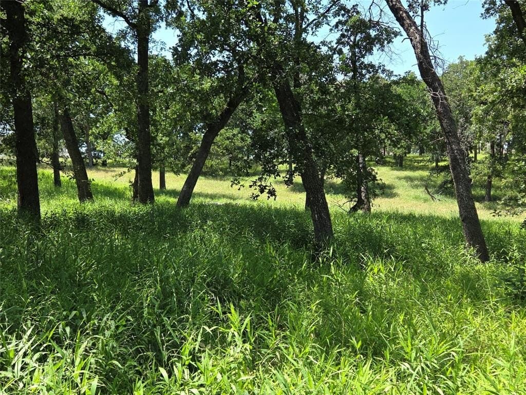 1 acres in Navarro County - photo 24