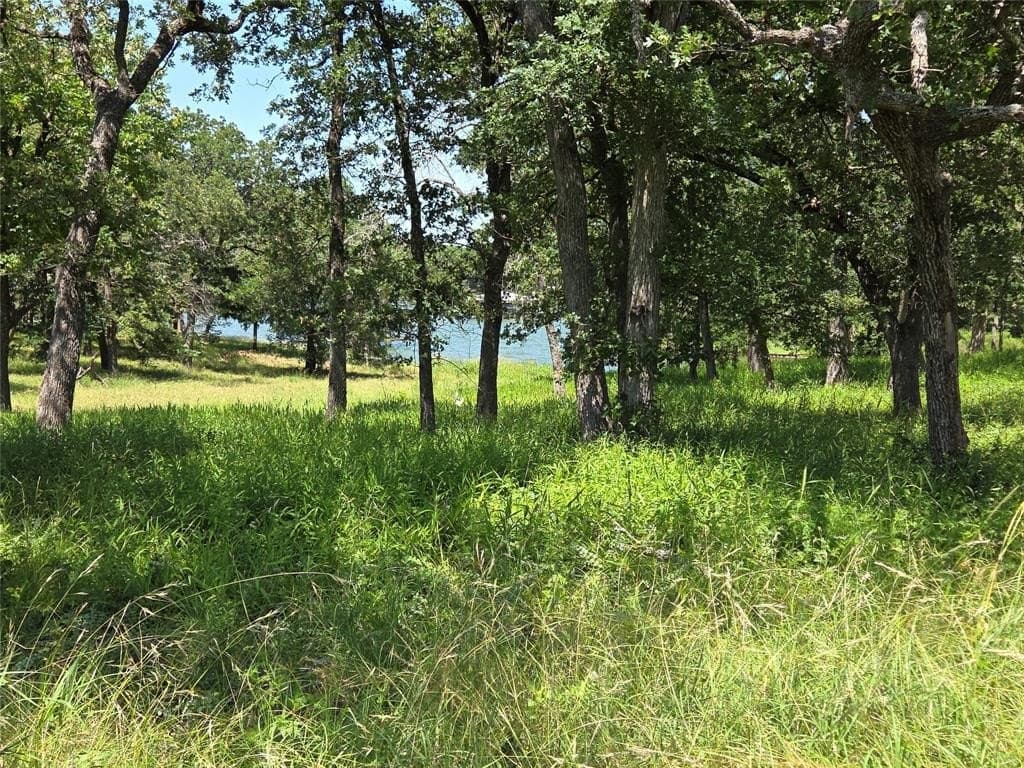 1 acres in Navarro County - photo 15