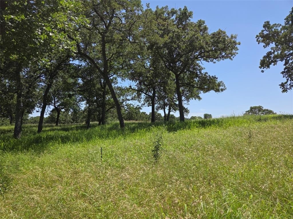 1 acres in Navarro County - photo 10