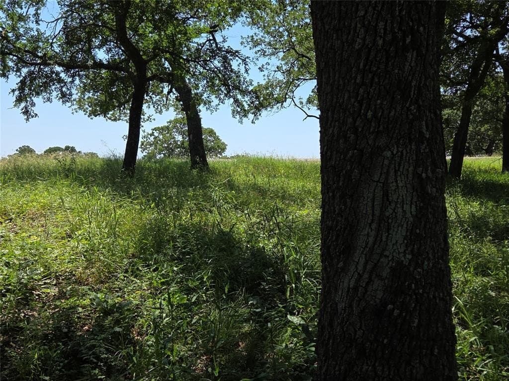 1 acres in Navarro County - photo 20