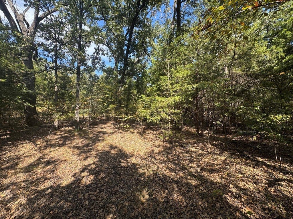 0.23 acres in Henderson County - photo 6