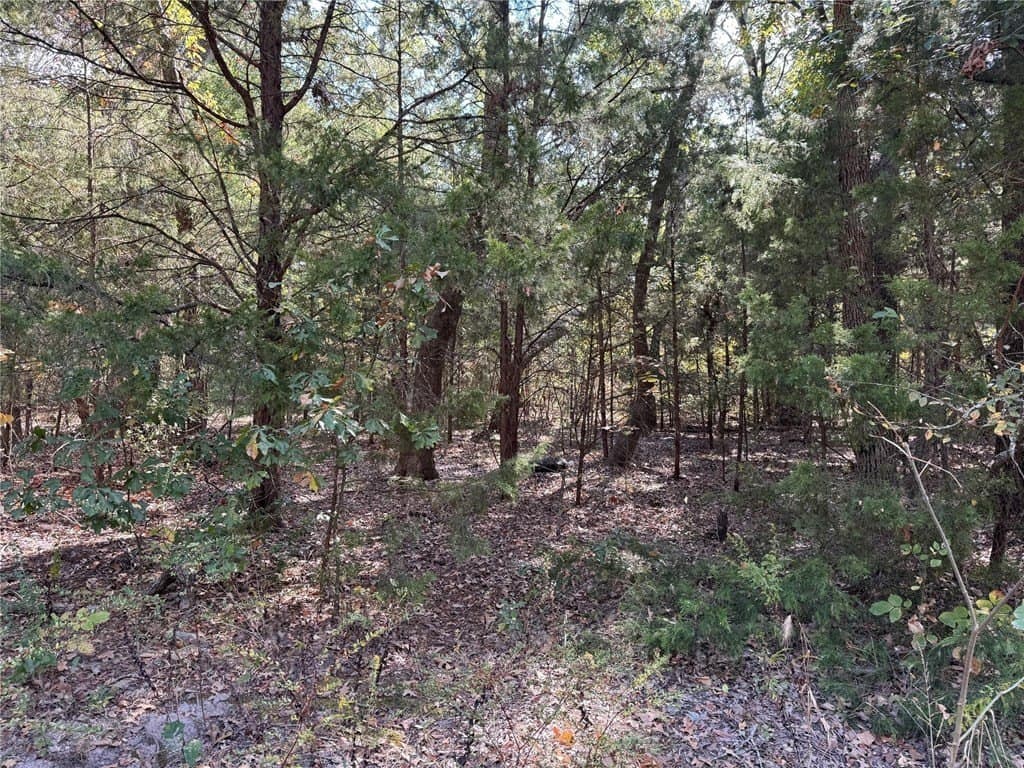 0.23 acres in Henderson County - photo 7