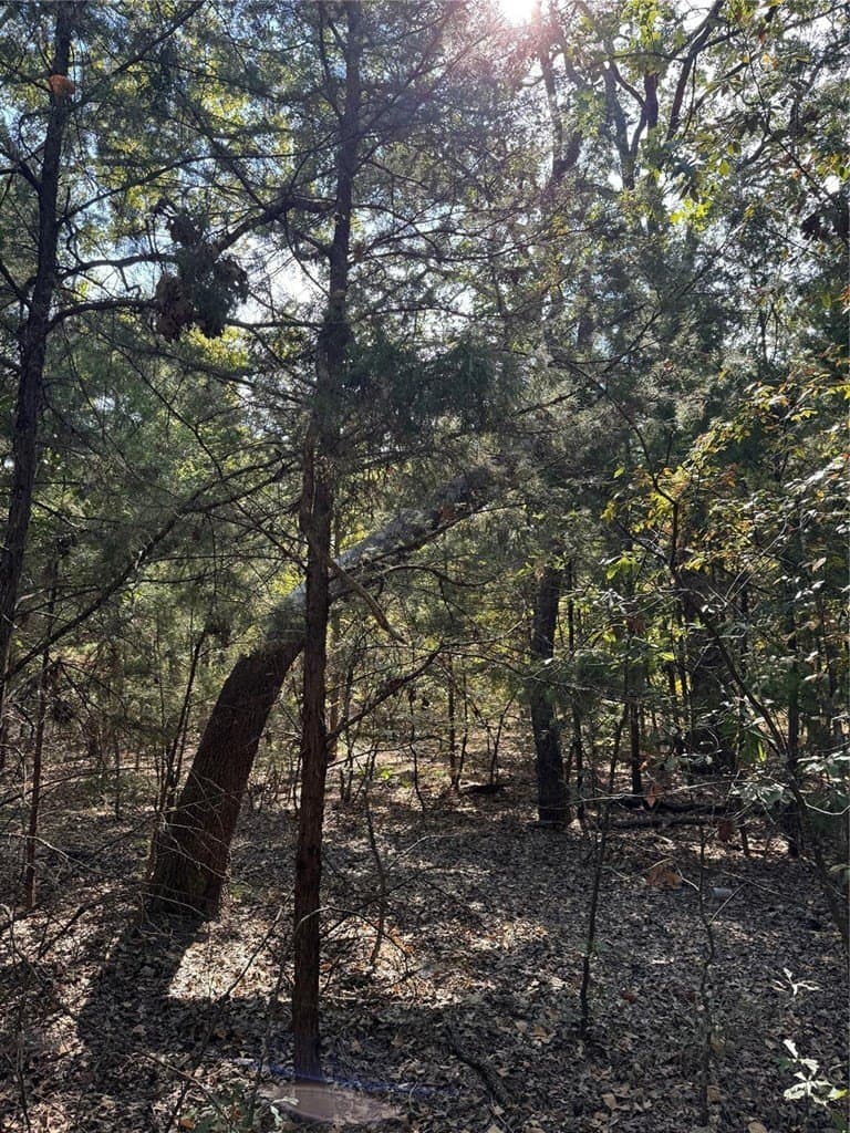 0.23 acres in Henderson County - photo 8