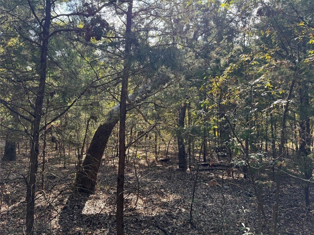 0.23 acres in Henderson County - photo 9