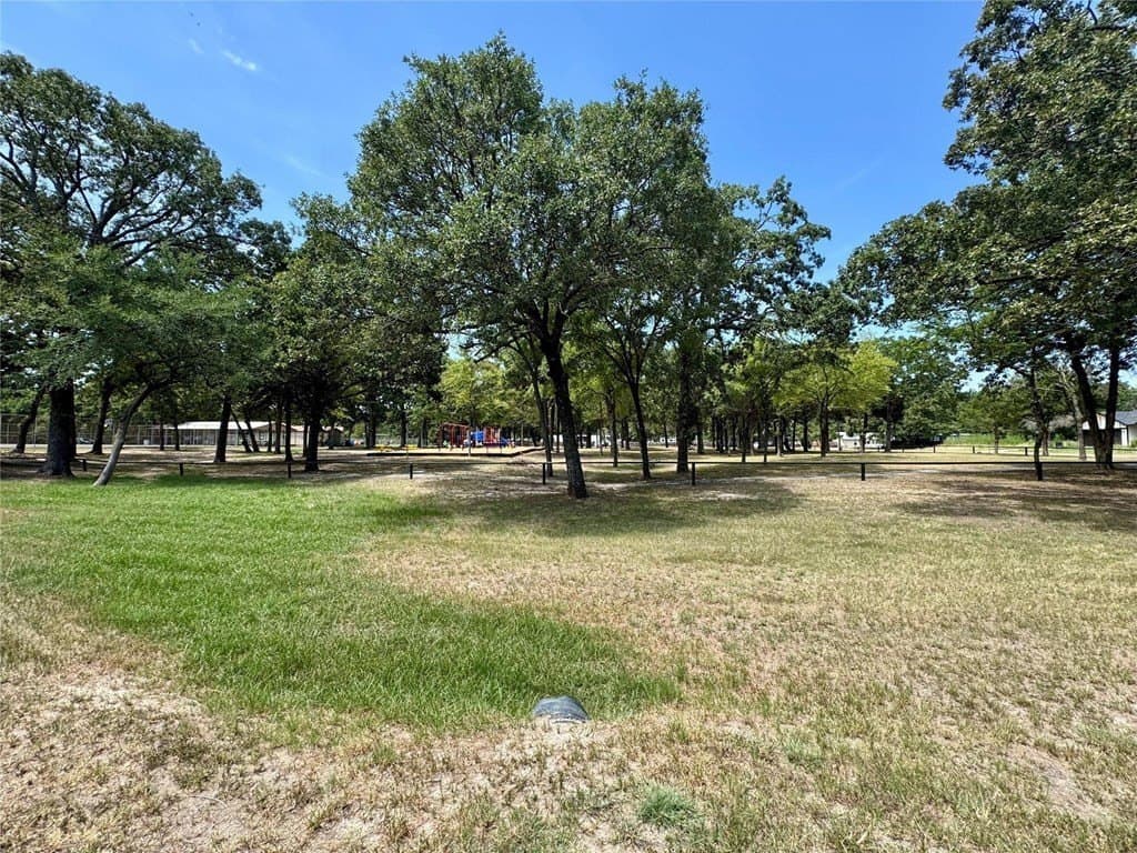 0.23 acres in Henderson County - photo 17