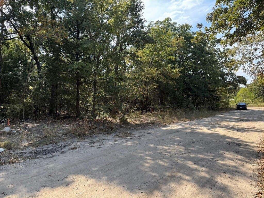 0.23 acres in Henderson County - photo 12