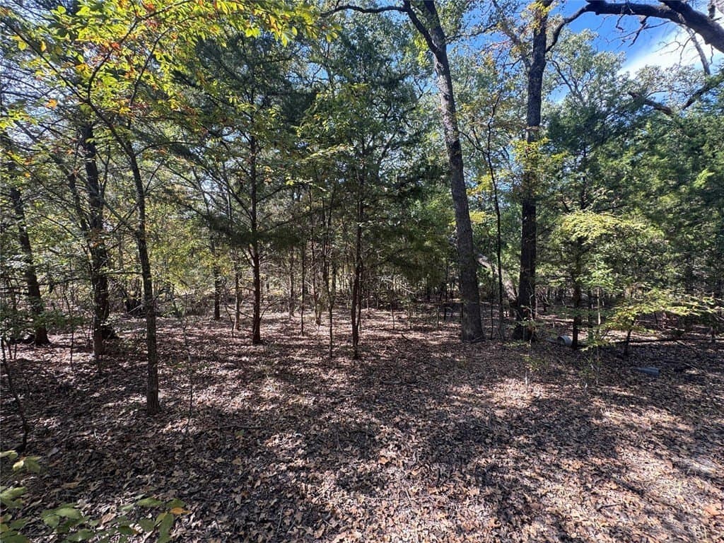 0.23 acres in Henderson County - photo 2