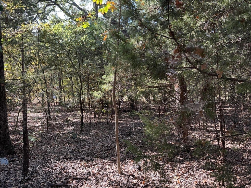 0.23 acres in Henderson County - photo 11