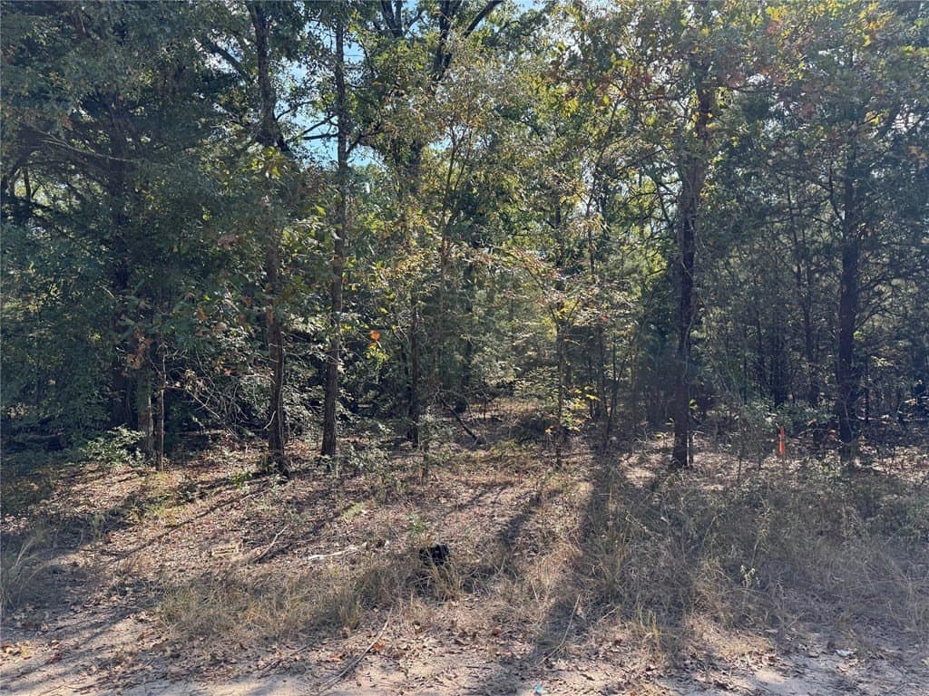 0.23 acres in Henderson County - photo 3
