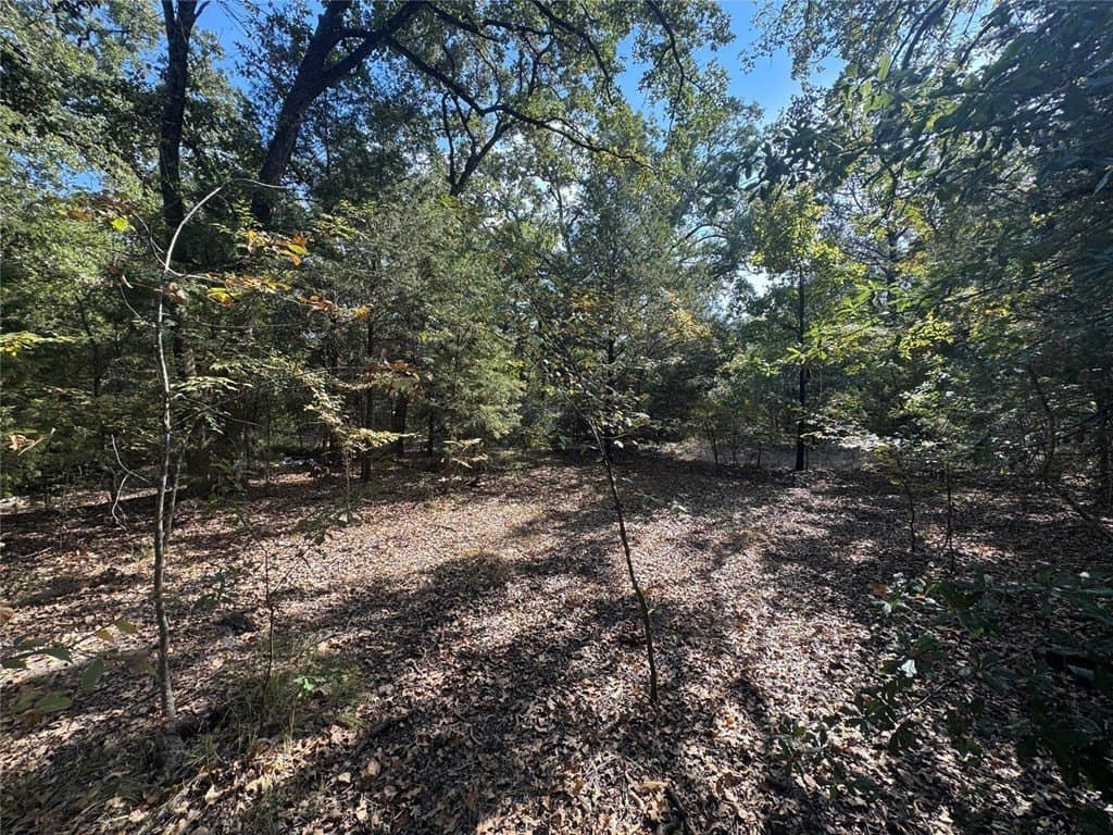 0.23 acres in Henderson County - photo 10