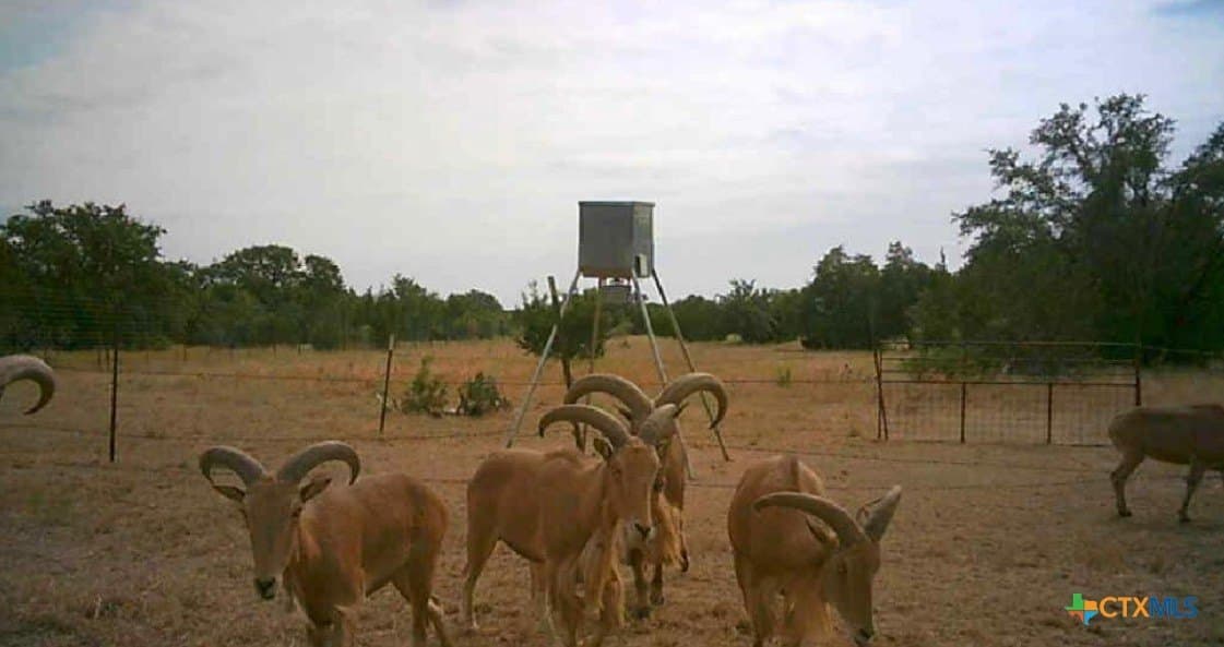 399 acres in Burnet County - photo 32
