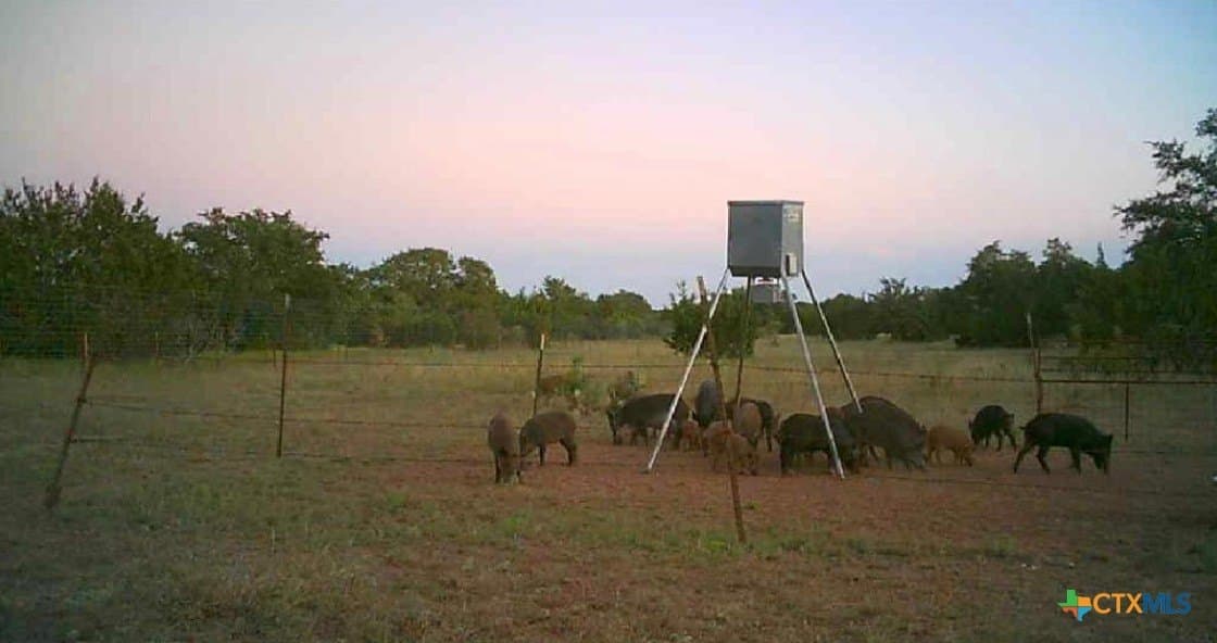 399 acres in Burnet County - photo 29