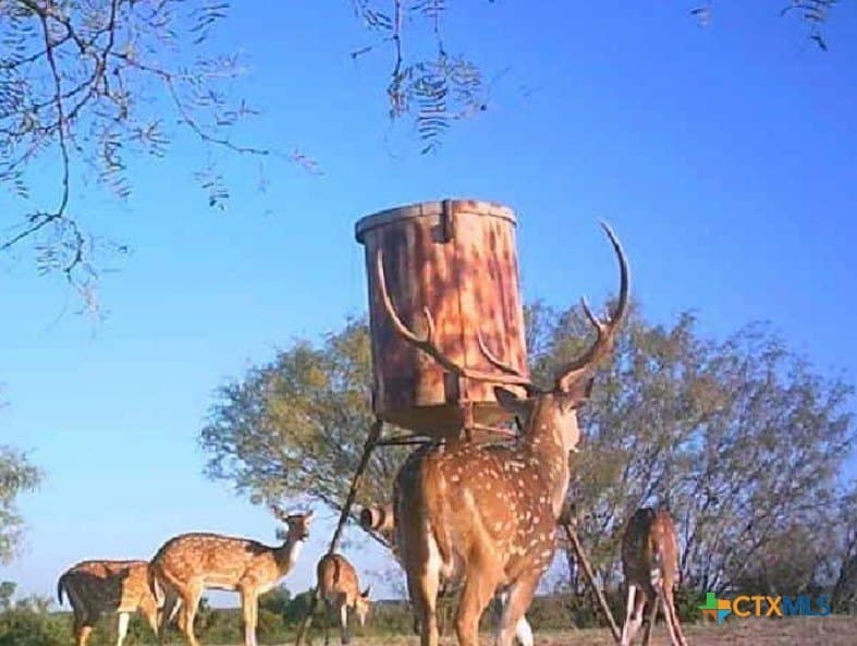 399 acres in Burnet County - photo 33