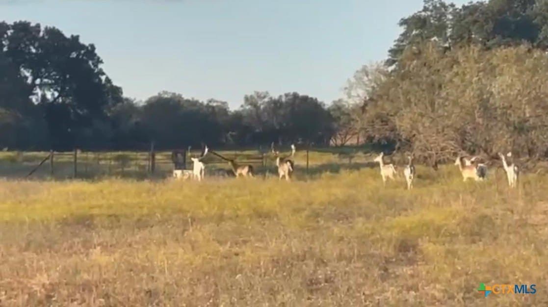 399 acres in Burnet County - photo 27