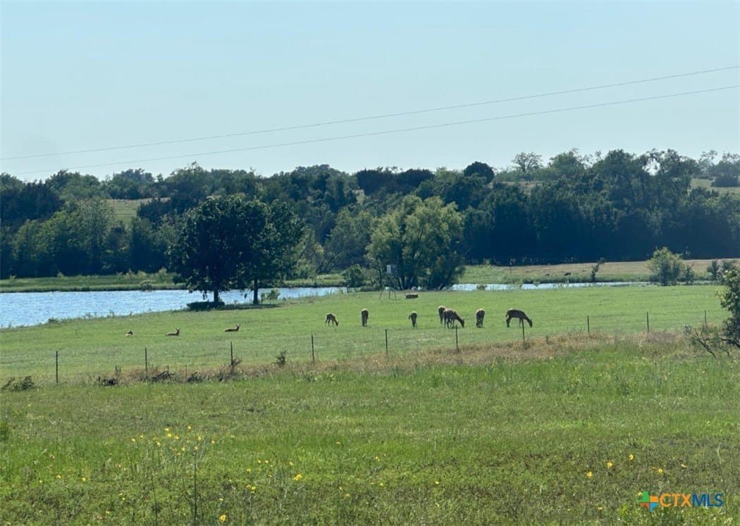 399 acres in Burnet County - photo 22