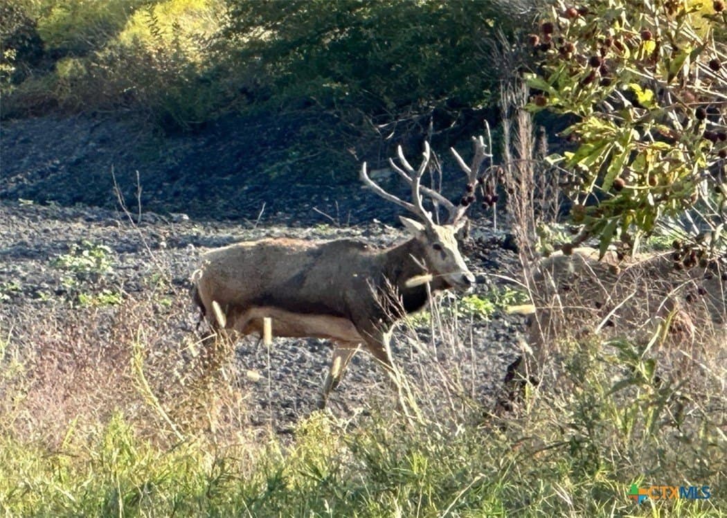 399 acres in Burnet County - photo 24