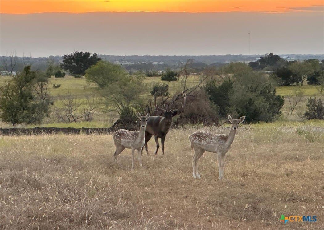 399 acres in Burnet County - photo 26