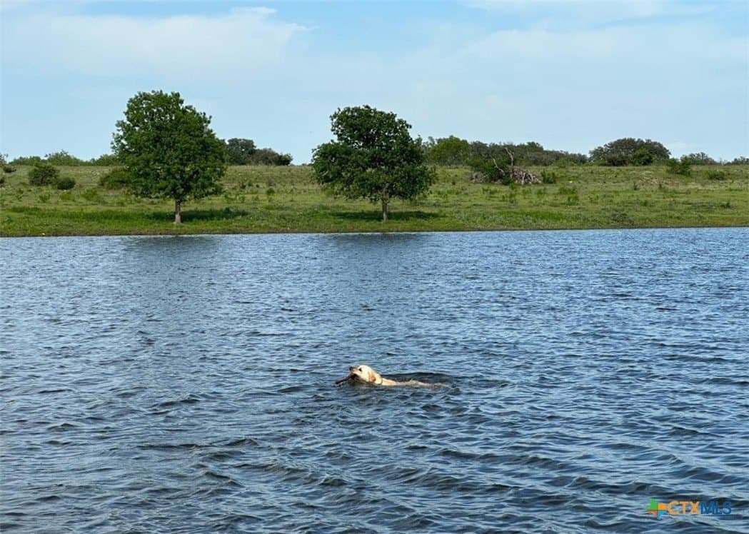 399 acres in Burnet County - photo 10