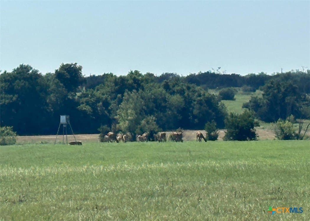 399 acres in Burnet County - photo 21