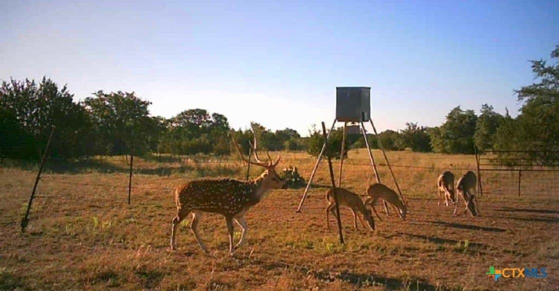 399 acres in Burnet County - photo 31
