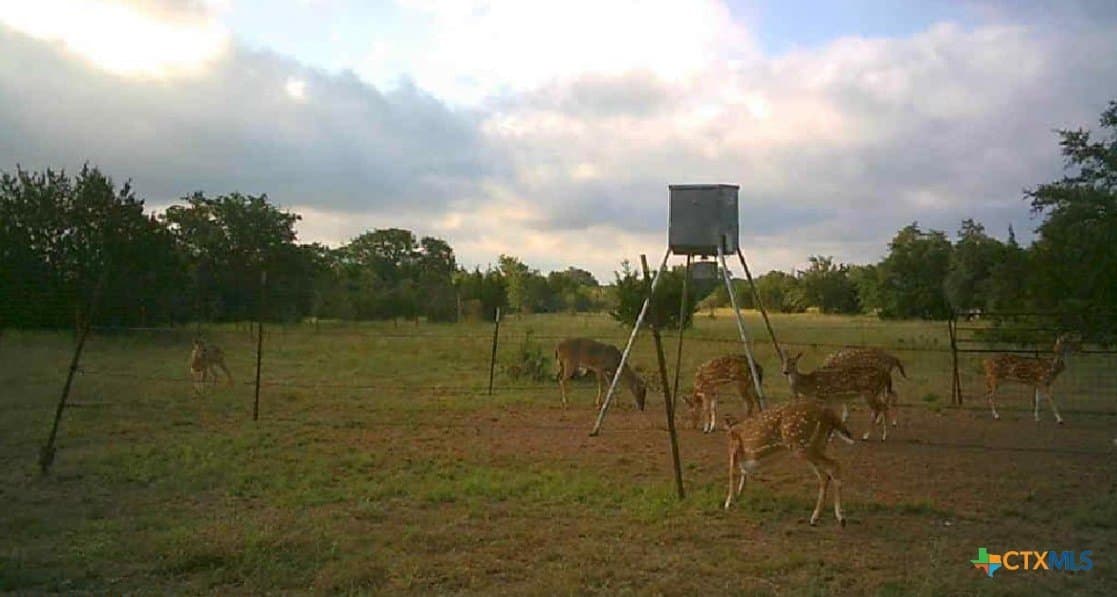399 acres in Burnet County - photo 30