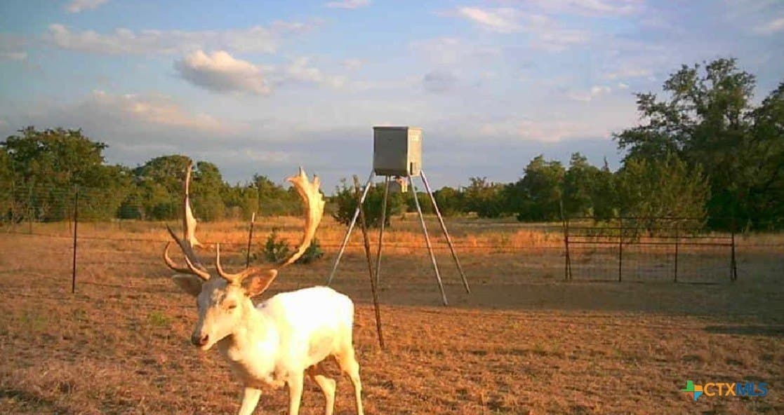 399 acres in Burnet County - photo 34