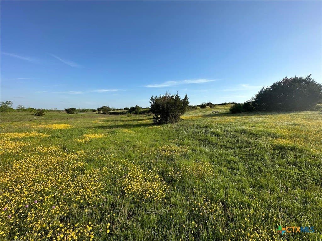 399 acres in Burnet County - photo 15