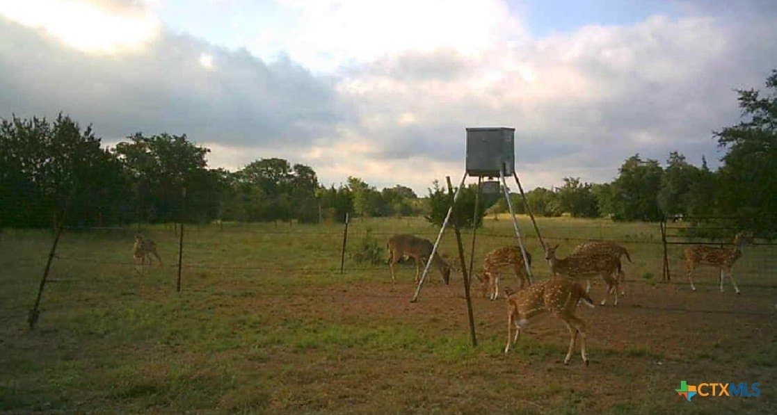 399 acres in Burnet County - photo 28