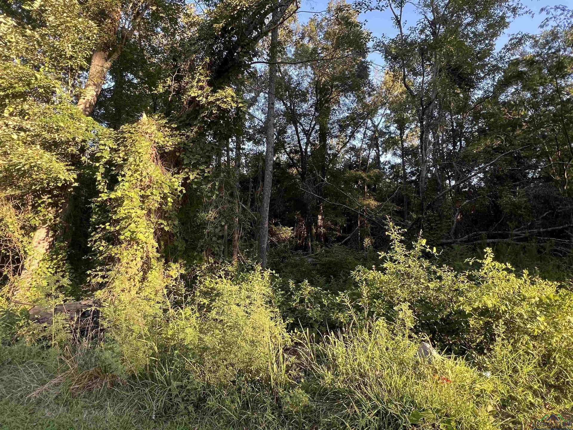 Tbd Cedarwood Trail