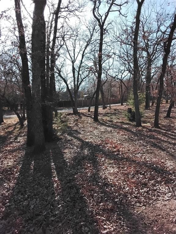 2.88 acres in Parker County - photo 13