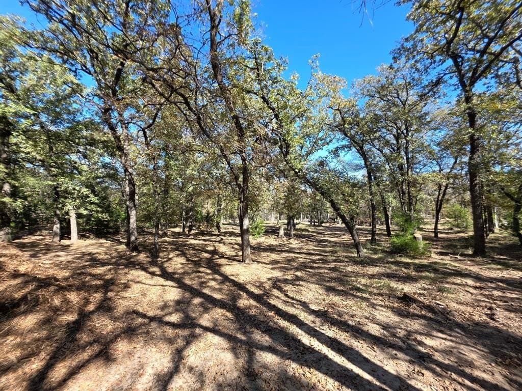 2.88 acres in Parker County - photo 5