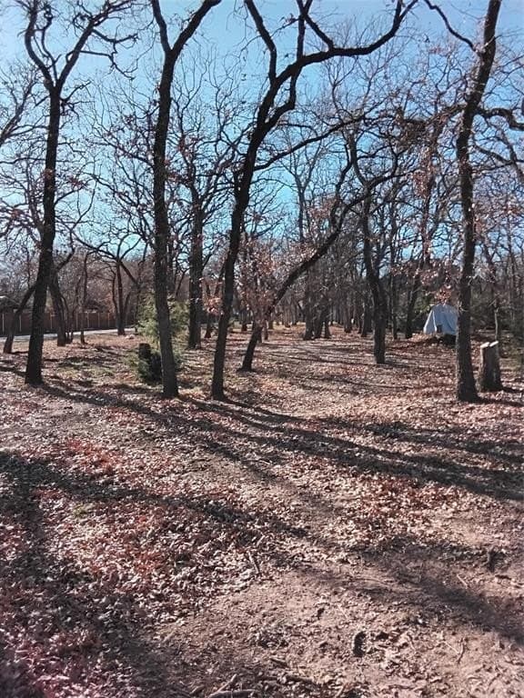 2.88 acres in Parker County - photo 14