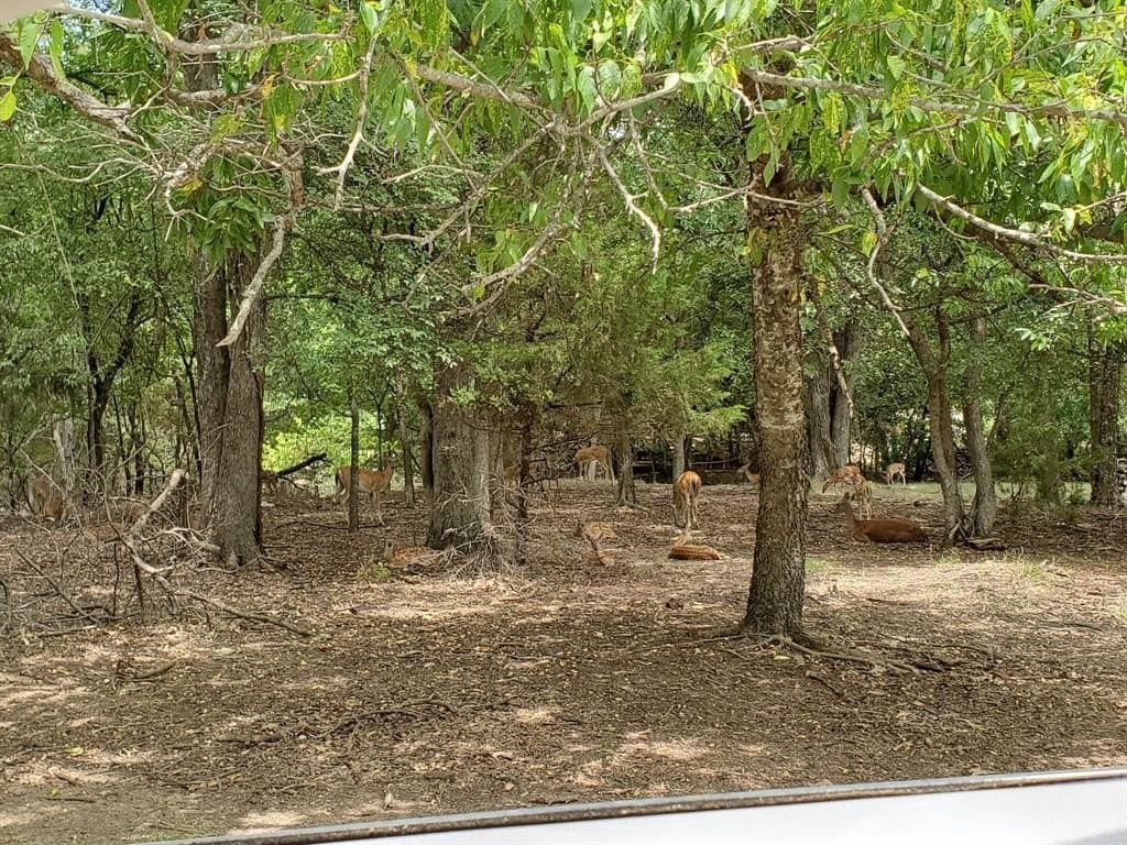2.88 acres in Parker County - photo 3