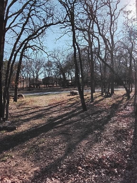2.88 acres in Parker County - photo 12