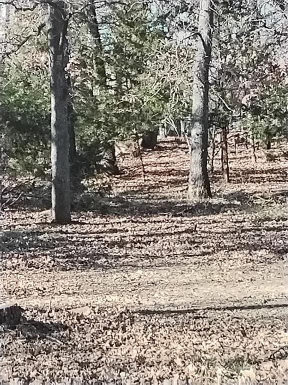 2.88 acres in Parker County - photo 22