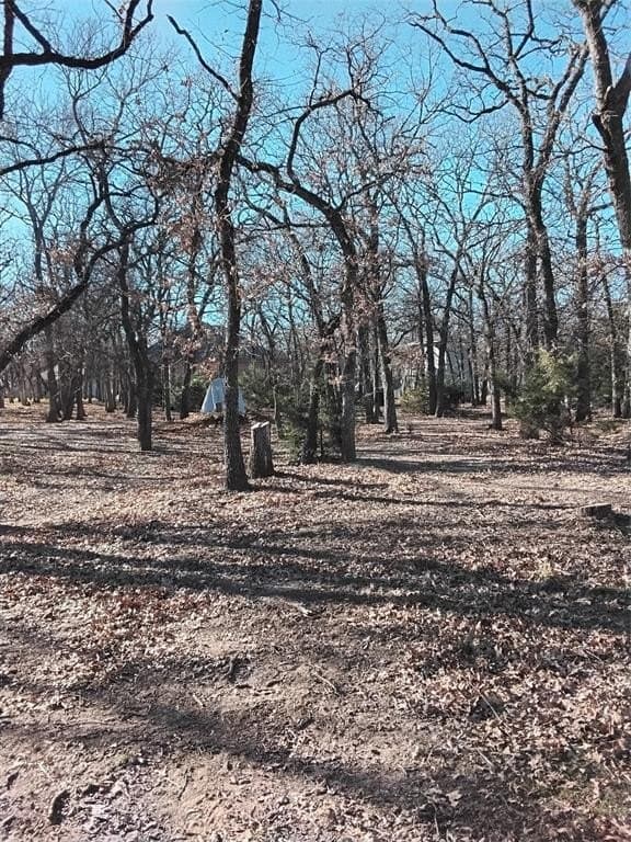2.88 acres in Parker County - photo 15