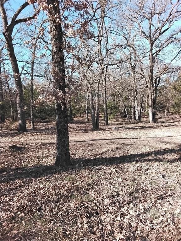 2.88 acres in Parker County - photo 17