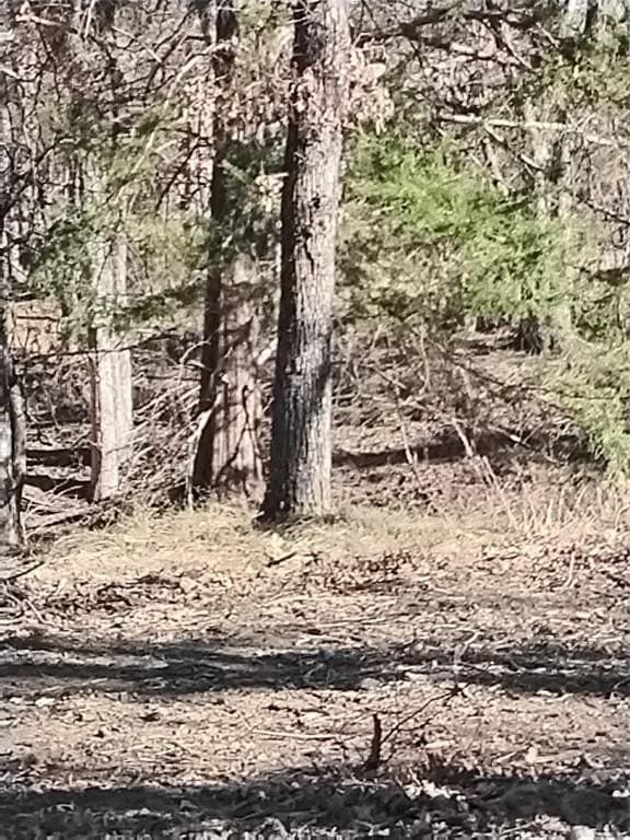 2.88 acres in Parker County - photo 19