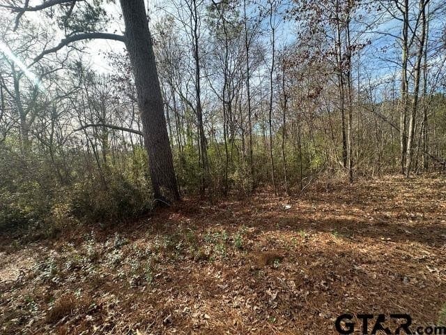 2.1 acres in Nacogdoches County - photo 3