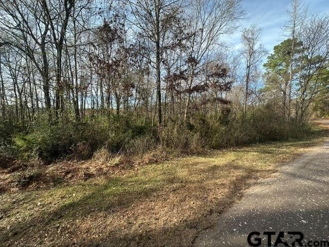 2.1 acres in Nacogdoches County - photo 5