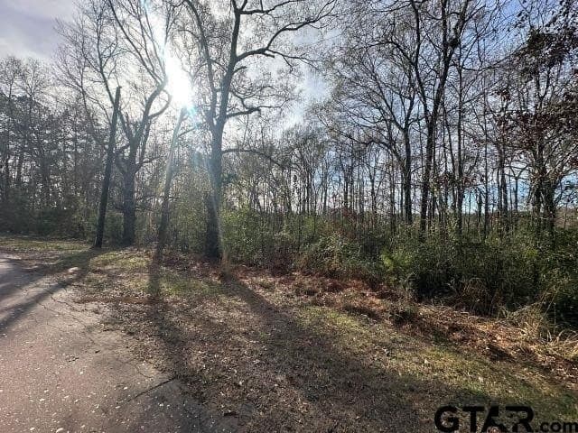 2.1 acres in Nacogdoches County - photo 4