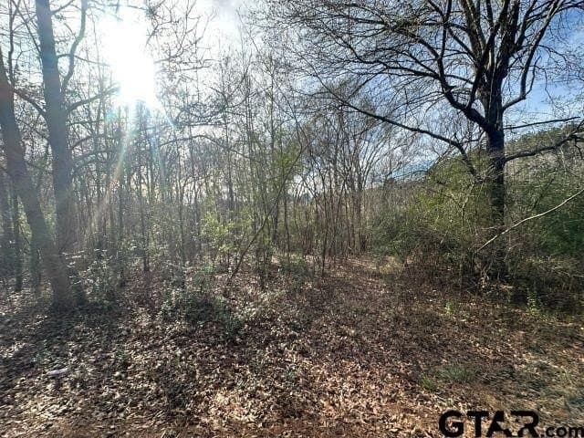 2.1 acres in Nacogdoches County - photo 2