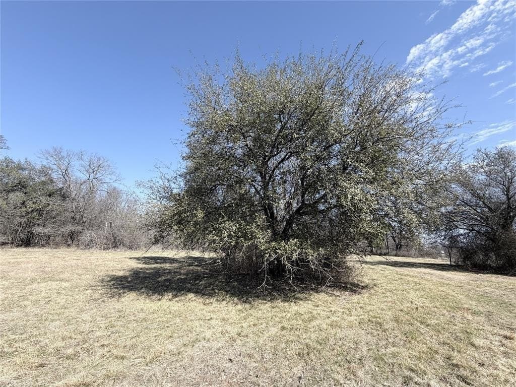 5 acres in Hill County - photo 5
