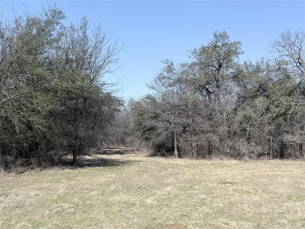 5 acres in Hill County - photo 4