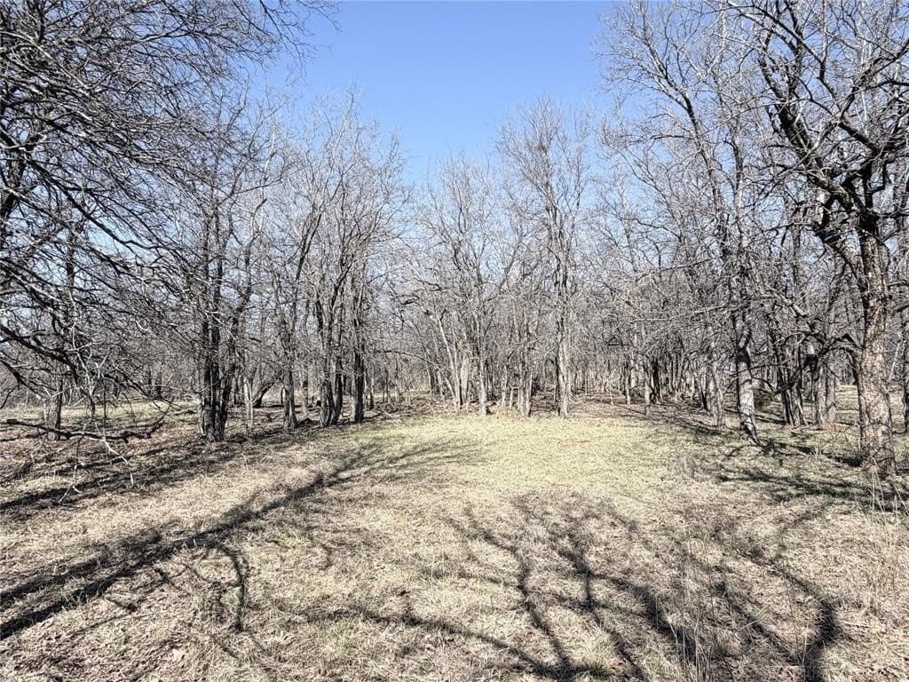 5 acres in Hill County - photo 6