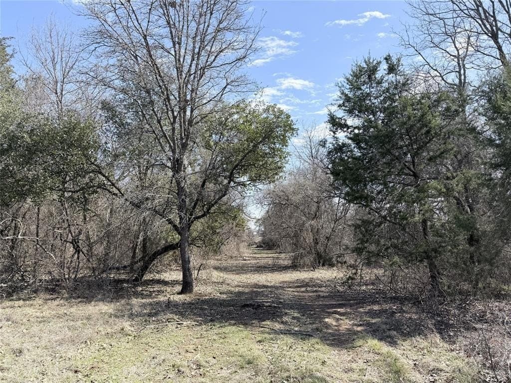 5 acres in Hill County - photo 3