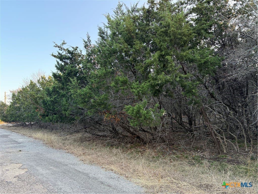 0.38 acres in Bell County - photo 5
