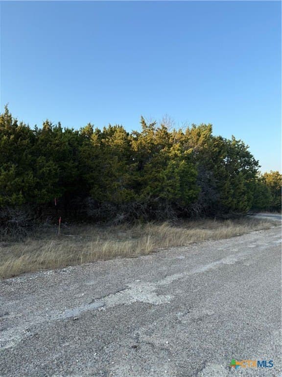 0.38 acres in Bell County - photo 4