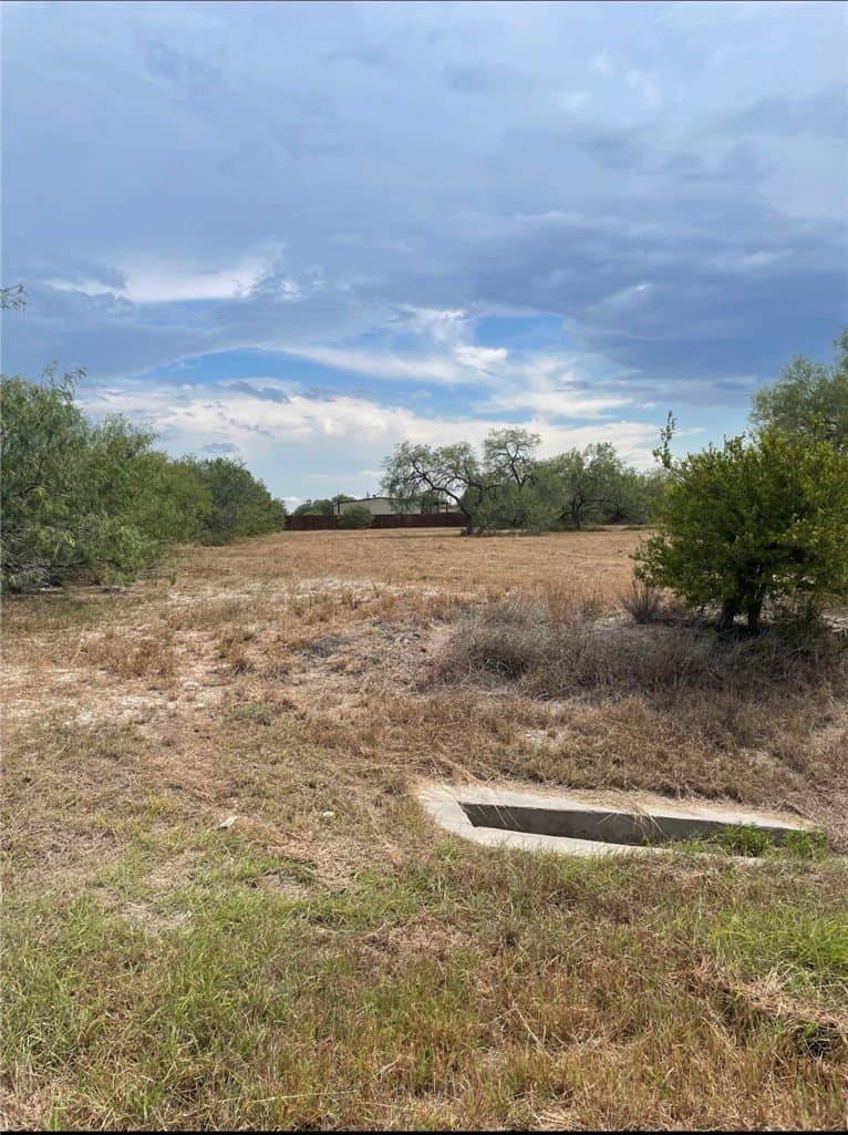 1 acres in Jim Wells County - photo 2