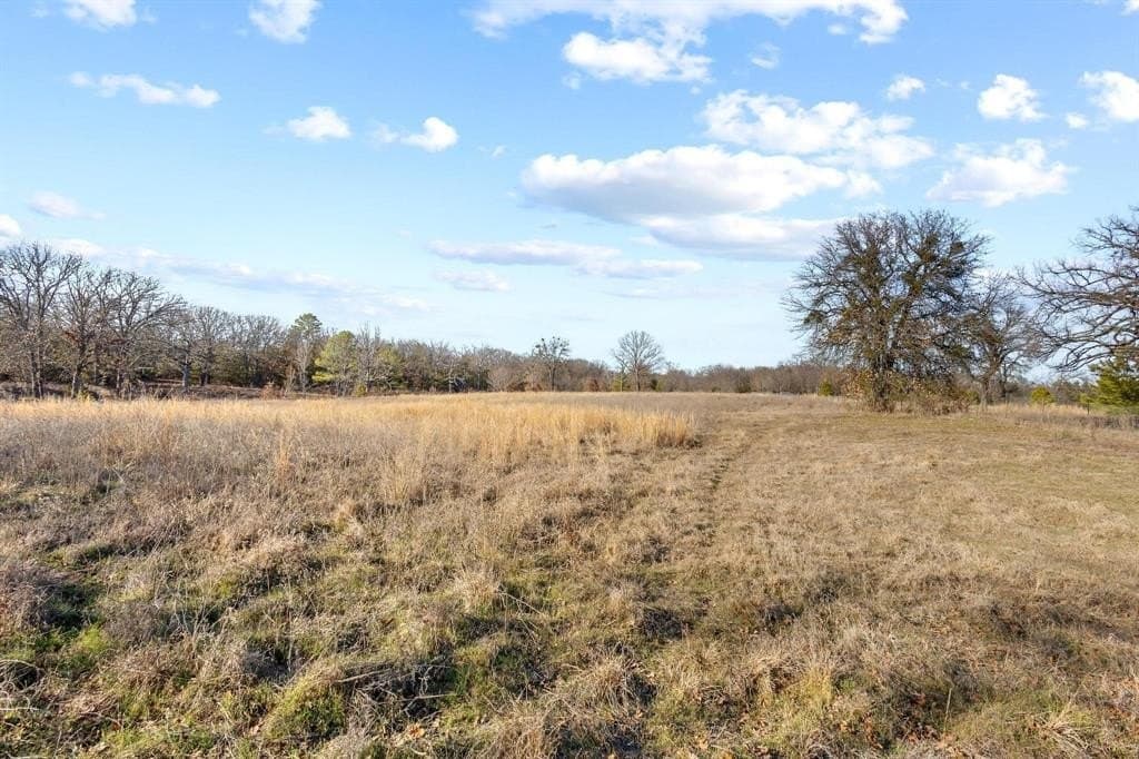 16.36 acres in Fannin County - photo 25